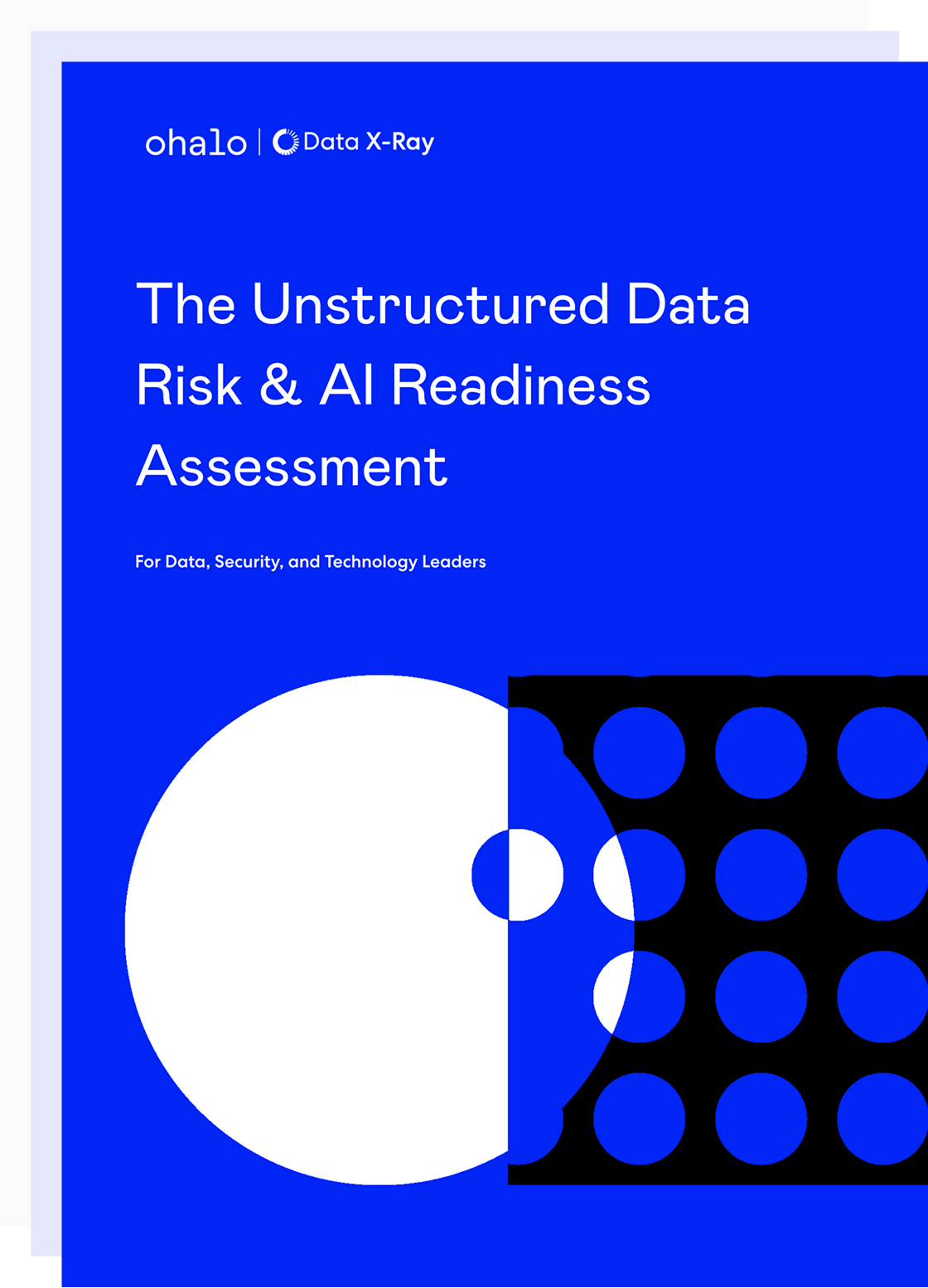 05-The-Assesment-Cover-web